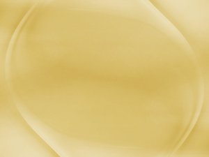 全球顶尖智能吸尘器常见问题：地图规划
